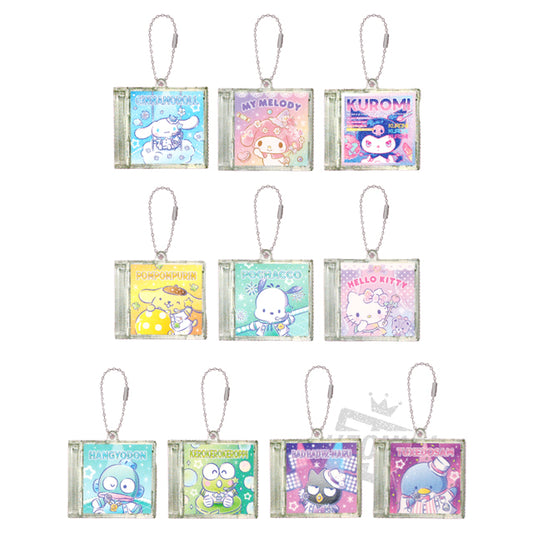 Sanrio Characters Random Cd Case Keychain