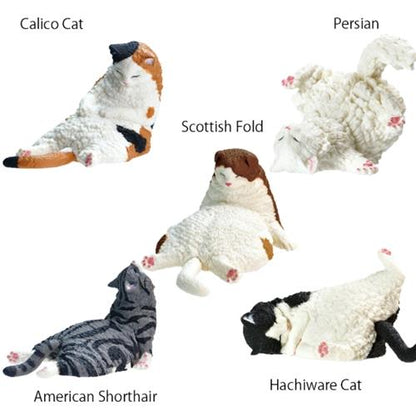 Sleeping Cat Blind Box