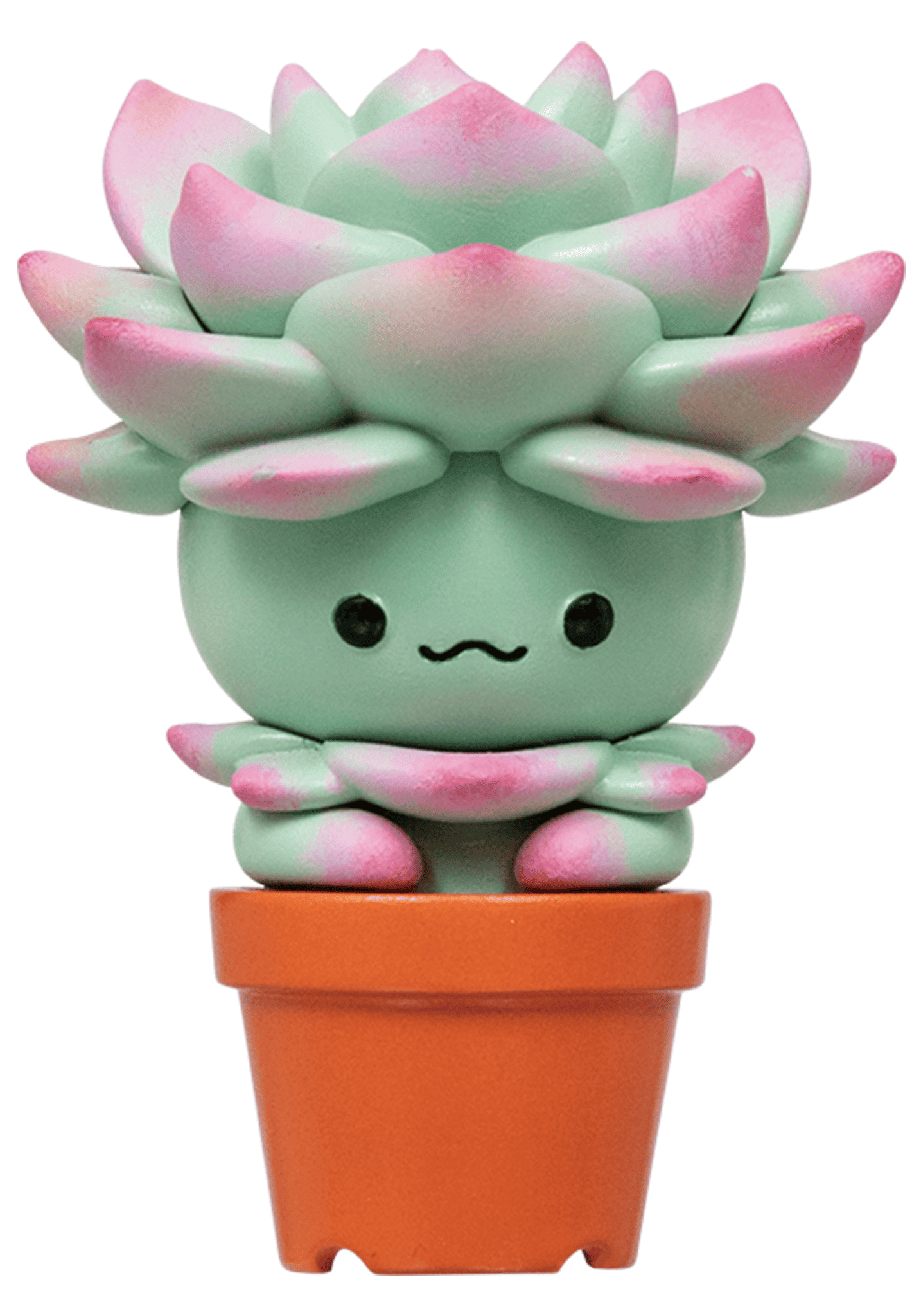 Succulent Friends Blind Box Collection