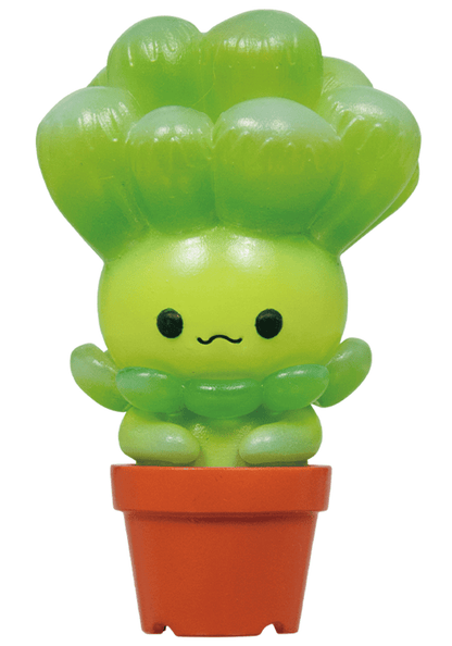 Succulent Friends Blind Box Collection