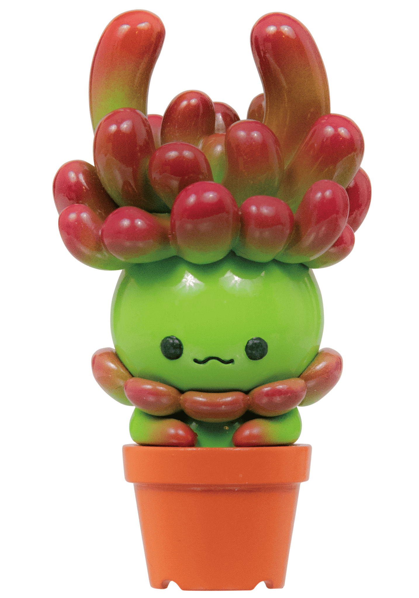 Succulent Friends Blind Box Collection