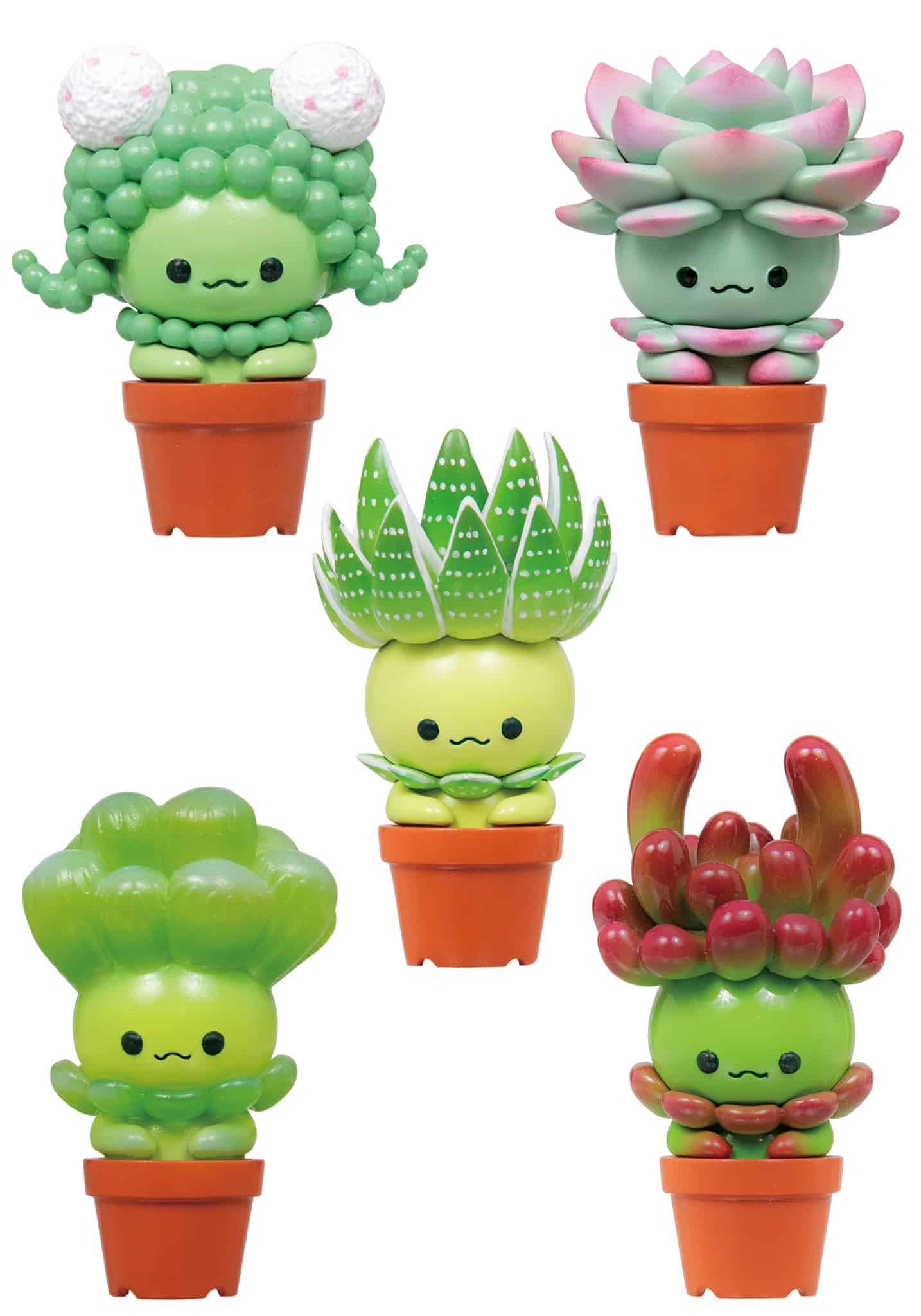 Succulent Friends Blind Box Collection